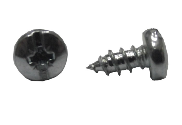 Pan Head Micro Screw